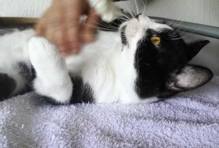 multimedia-foto58591-606-1