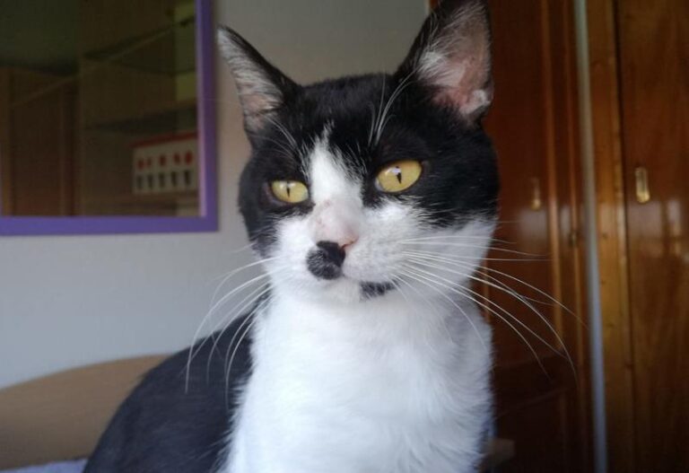 multimedia-foto58593-606-1