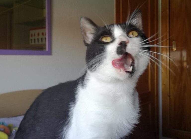 multimedia-foto58594-607-1