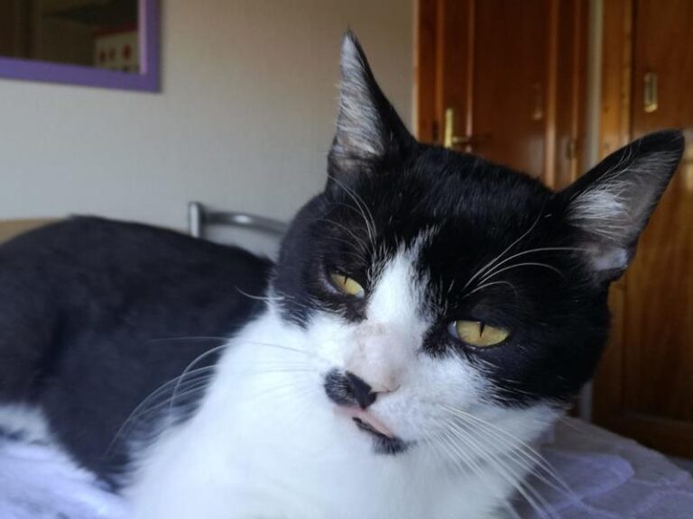 multimedia-foto58595-607-1