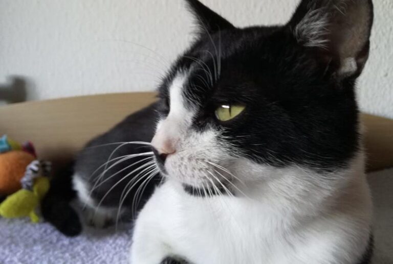 multimedia-foto58596-607-1