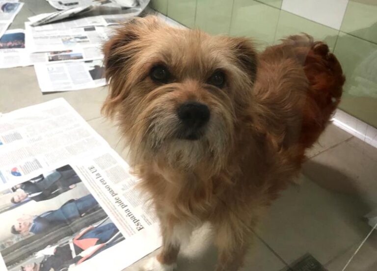 multimedia-foto58598-465-1