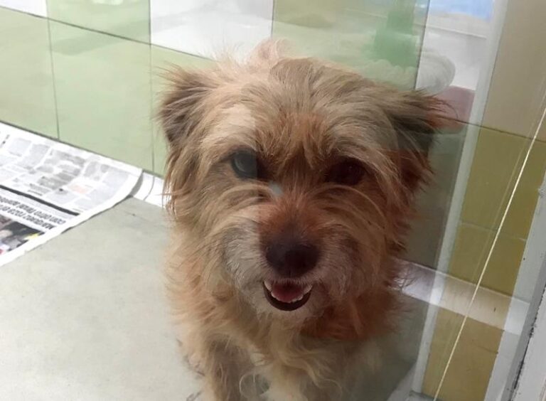 multimedia-foto58599-465-1