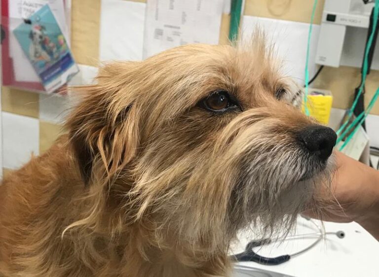 multimedia-foto58600-465-1