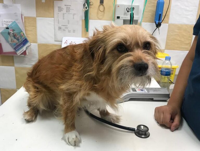 multimedia-foto58601-465-1