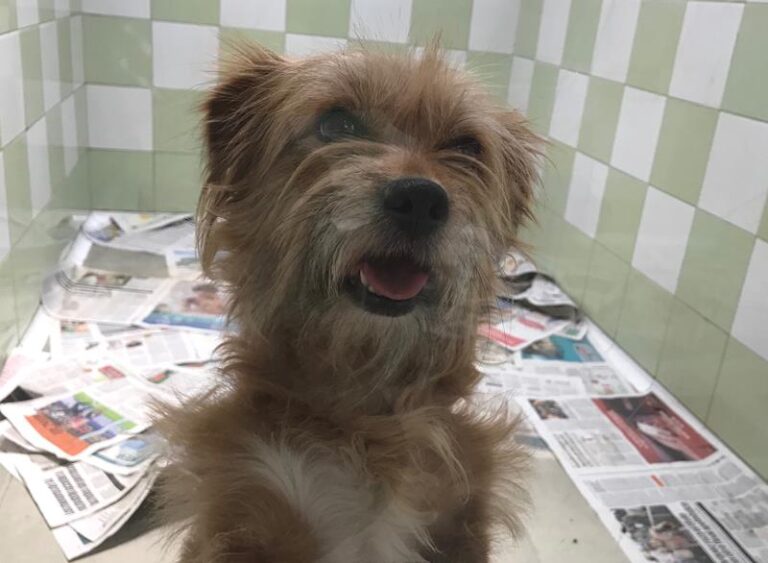 multimedia-foto58603-466-1