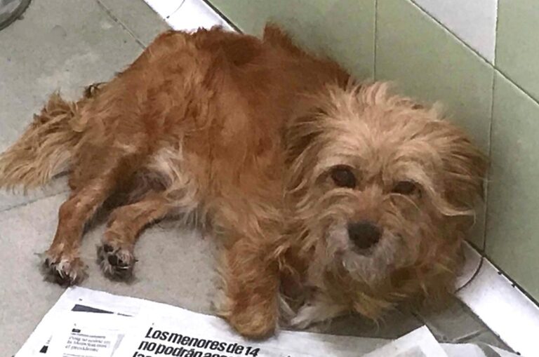 multimedia-foto58604-466-1