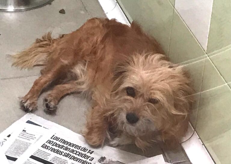 multimedia-foto58605-466-1