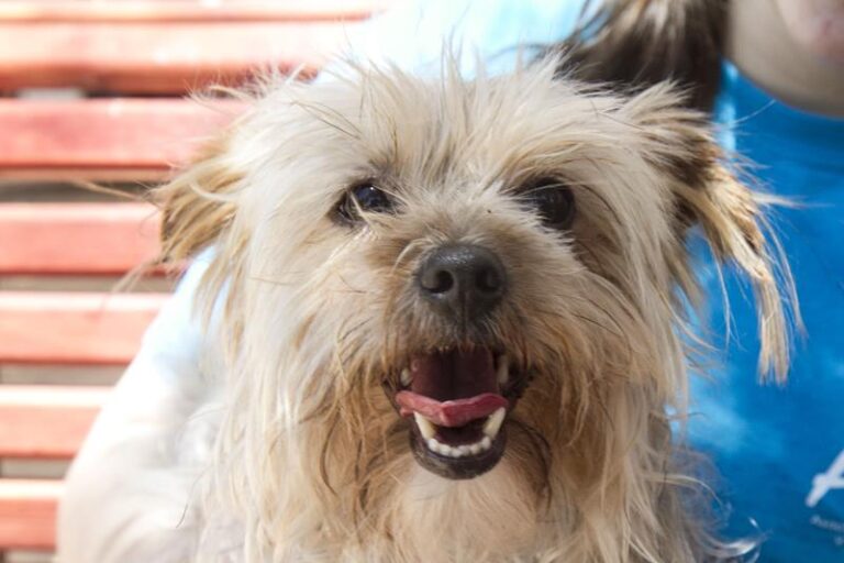 multimedia-foto58606-977-1