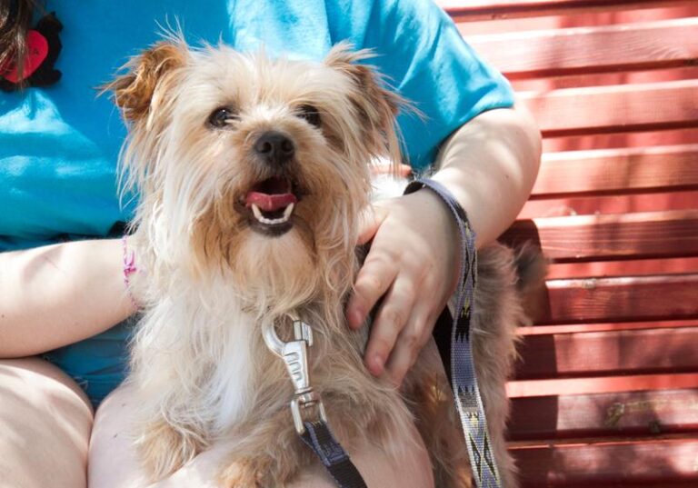 multimedia-foto58607-977-1