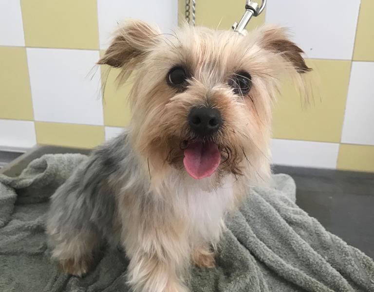 multimedia-foto58609-977-1