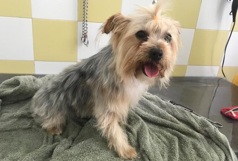 multimedia-foto58610-977-1