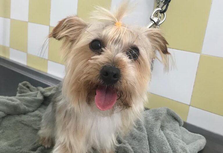 multimedia-foto58611-978-1