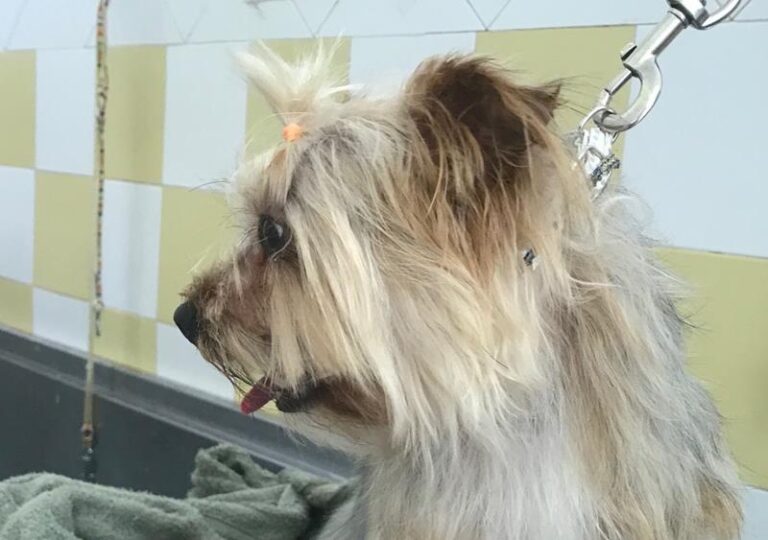 multimedia-foto58612-978-1