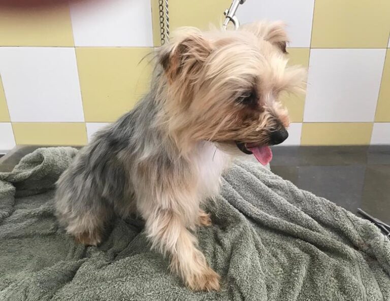 multimedia-foto58613-978-1