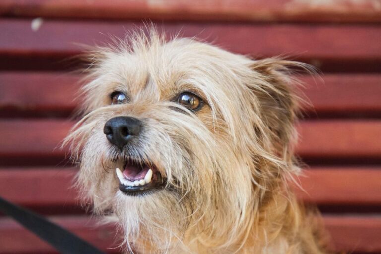 multimedia-foto58614-225-1