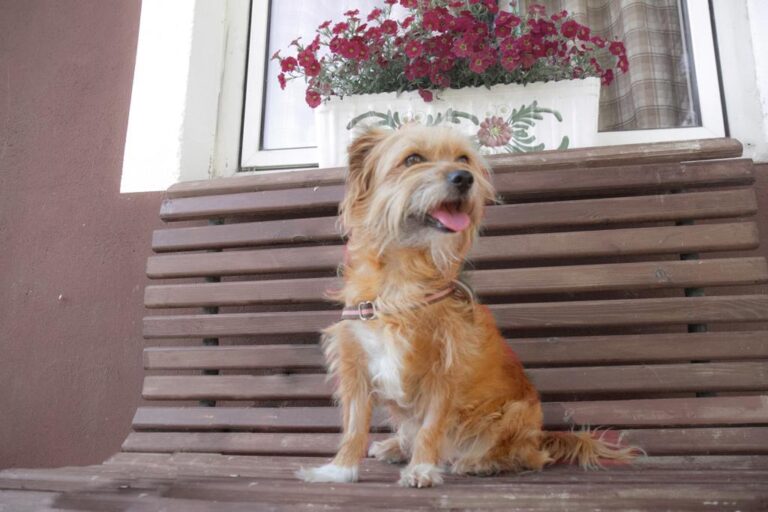 multimedia-foto58615-225-1