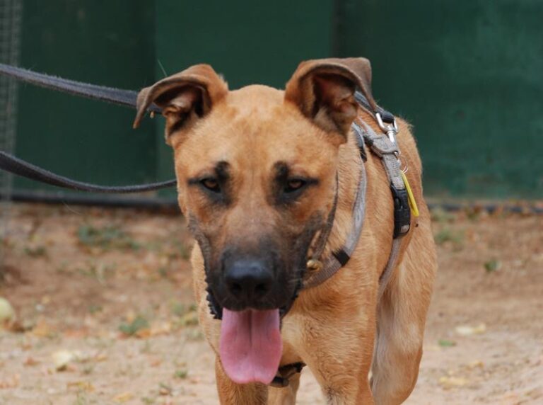 multimedia-foto58618-613-1