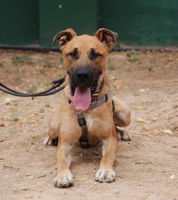 multimedia-foto58619-613-1