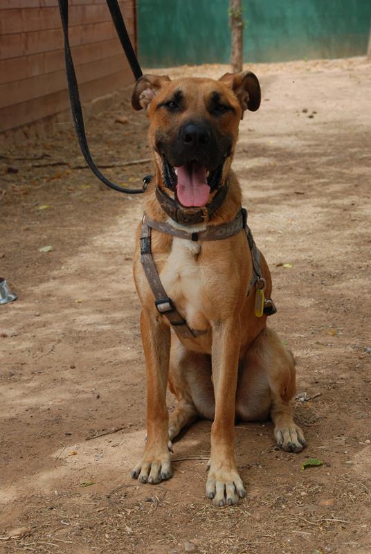 multimedia-foto58620-613-1