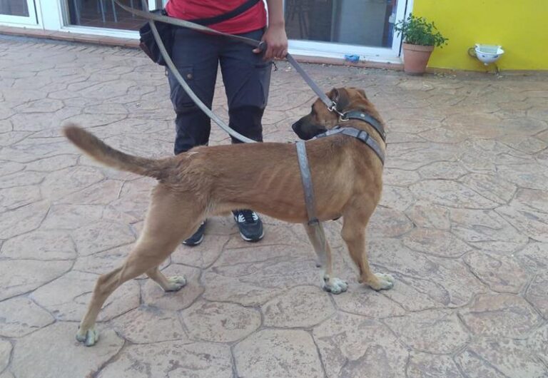 multimedia-foto58621-613-1