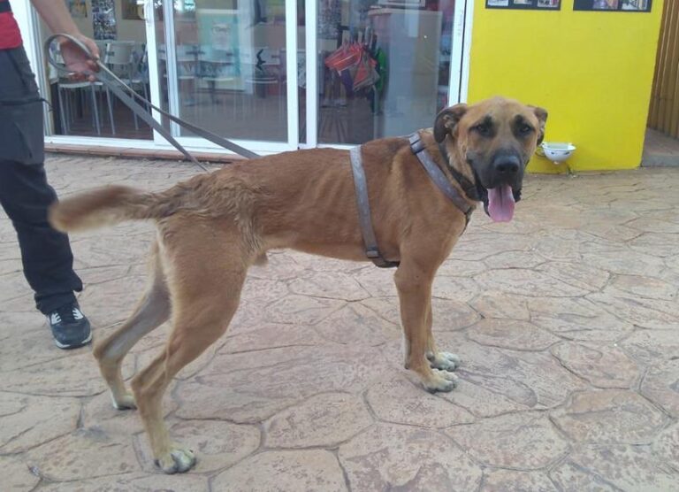 multimedia-foto58622-614-1