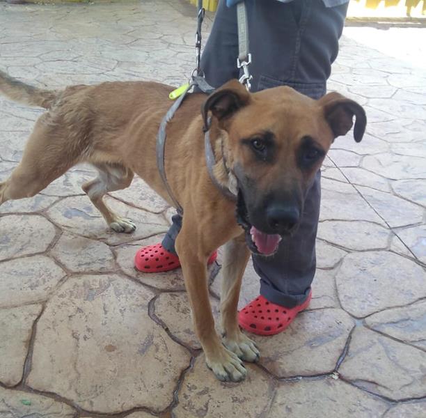 multimedia-foto58623-614-1