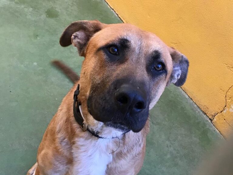 multimedia-foto58624-614-1