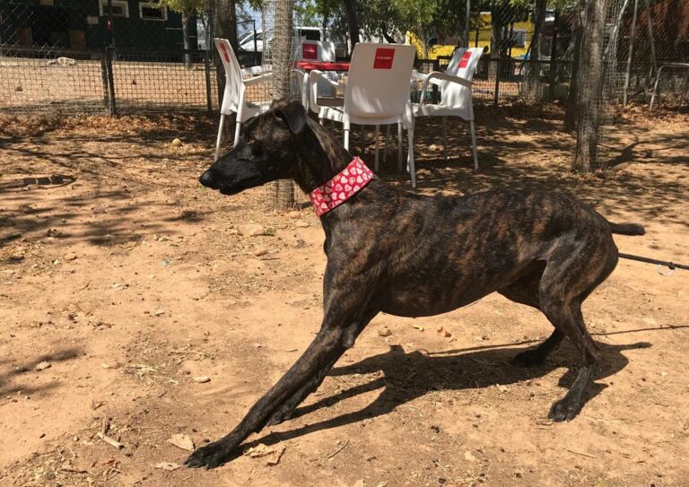 multimedia-foto58628-186-1