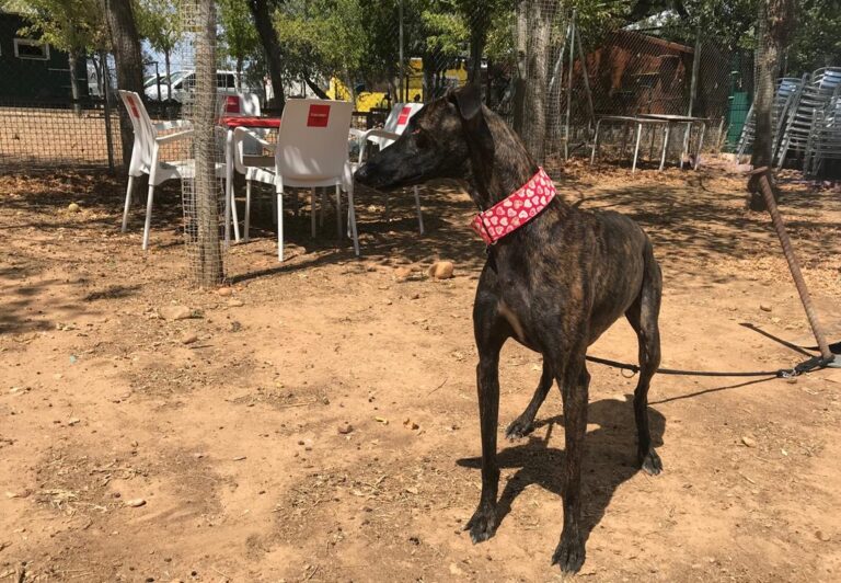 multimedia-foto58629-186-1