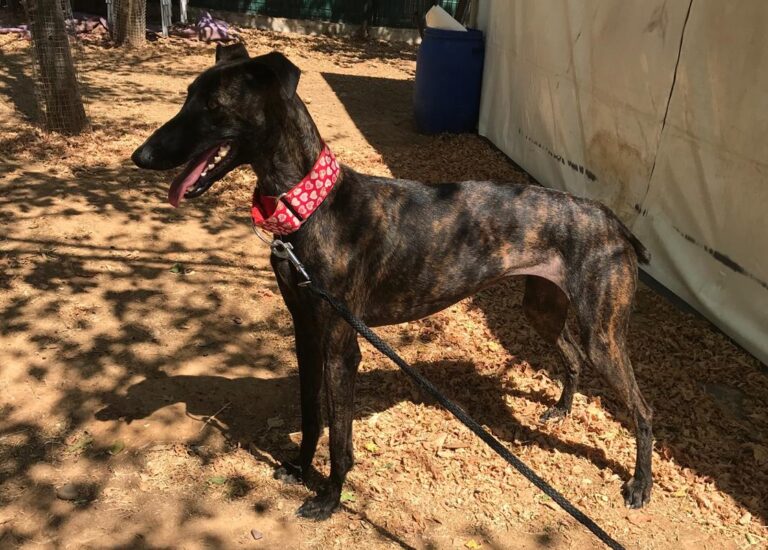 multimedia-foto58630-186-1