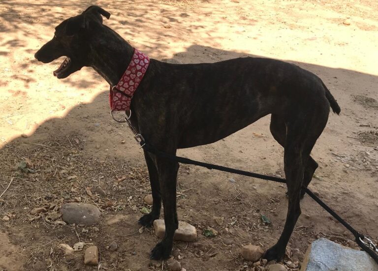 multimedia-foto58631-186-1