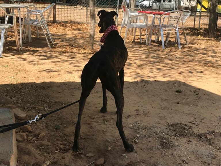 multimedia-foto58632-187-1