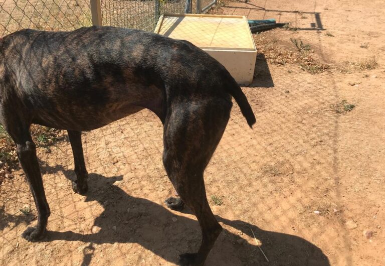 multimedia-foto58633-187-1