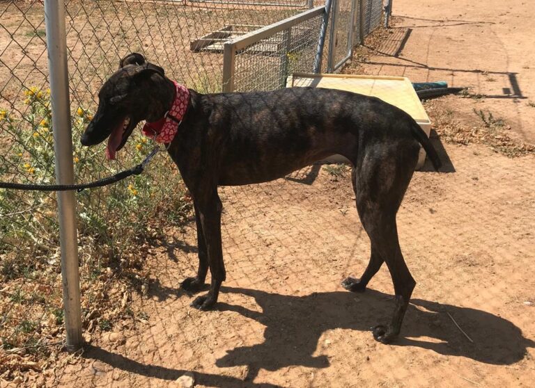 multimedia-foto58634-187-1