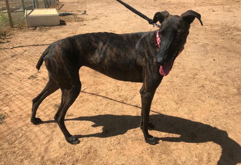 multimedia-foto58635-187-1