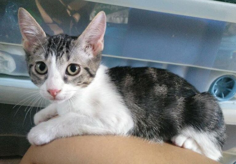 multimedia-foto58659-94-1