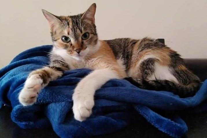 multimedia-foto58661-210-1