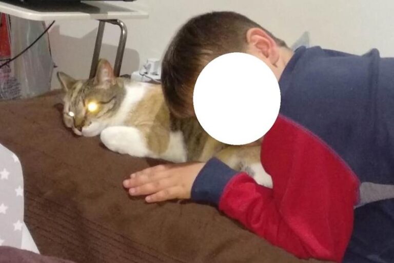 multimedia-foto58667-211-1