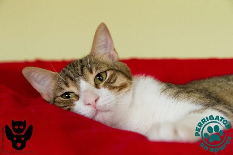 multimedia-foto58689-163-1