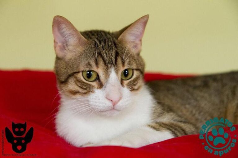 multimedia-foto58691-163-1