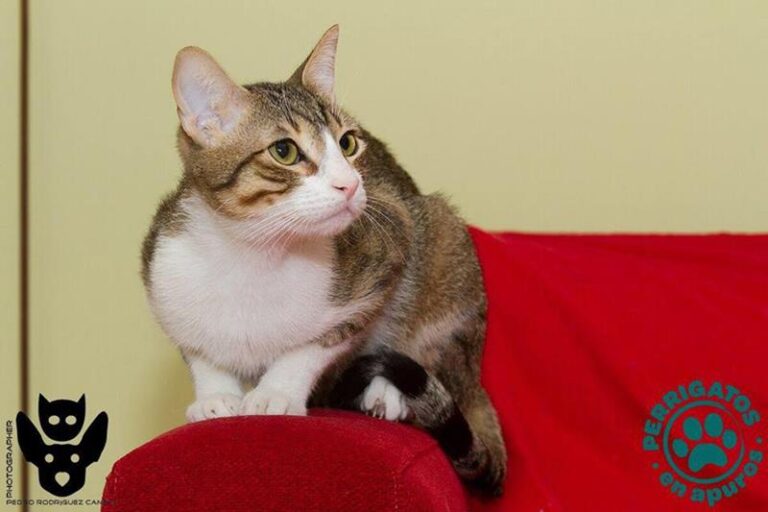 multimedia-foto58692-164-1