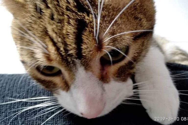 multimedia-foto58693-164-1