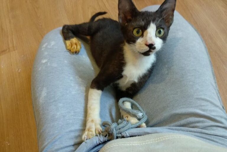 multimedia-foto58702-250-1