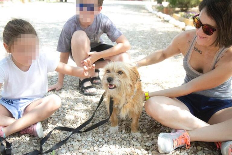 multimedia-foto58716-708-1