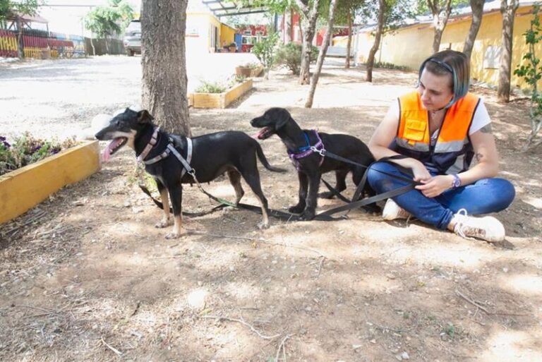 multimedia-foto58724-941-1