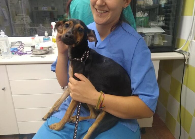 multimedia-foto58837-215-1