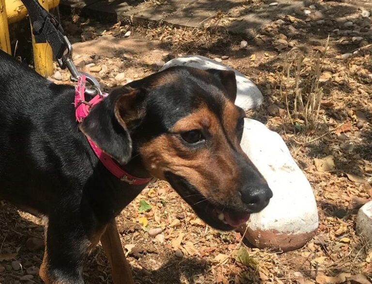 multimedia-foto58841-216-1