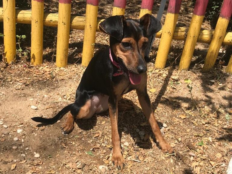 multimedia-foto58842-289-1