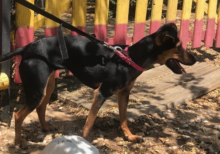 multimedia-foto58843-289-1